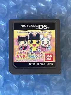 8c動作確認済❗️なりきりチャレンジ ニンテンドーDS