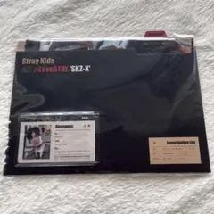 straykids スキズ　スンミン　トレカ
