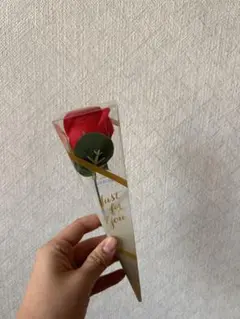 Item thumbnail for item d904e33b-d376-4b8e-8ce6-8124d53ac12b