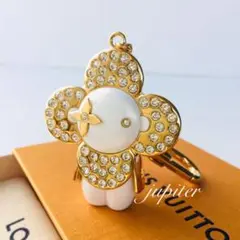 ✴︎my コレクション✴︎ ルイヴィトン ポルトクレ ヴィヴィエンヌ