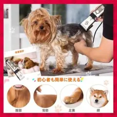 Item thumbnail for item d6b59467-52a4-42ed-87c5-6301d496f2ec