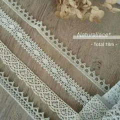 Item thumbnail for item e25645ba-3405-477f-98ba-ff97686c41c9