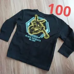 ポケモン　黒いレックウザ　長袖Tシャツ
