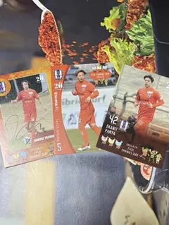 愛媛FC サッカートレーディングカードセット