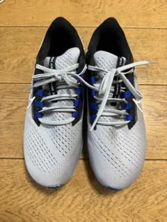 ナイキ 26.0 エアズームペガサス38