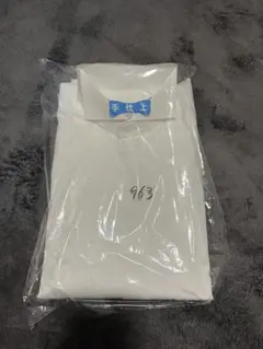 Item thumbnail for item f569c366-7a5a-48ed-b0bf-a3b737a3e49b
