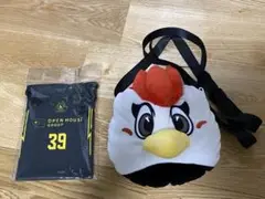 群馬　クレインサンダーズ　グッズセット