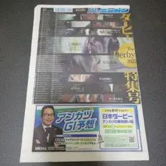 ニッカンダービー　特集号