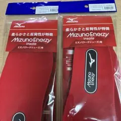 ミズノエナジーインソール(L)