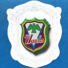 昭和レトロバッジ　当時ものレア野球バッジ　　南海ホークス
