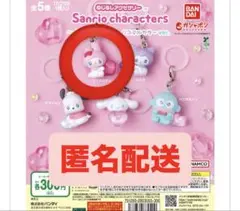 サンリオキャラクターズエモきゅん めじるしアクセサリー　マイメロディ