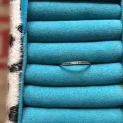 Item thumbnail for item 427f1de6-1c61-4b52-ba6d-d8211ce97ae5