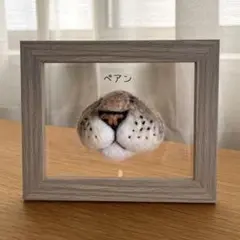 おはな(柄あり猫ちゃん用)