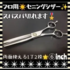 Item thumbnail for item fecb408f-2202-4171-806d-5aa606add441