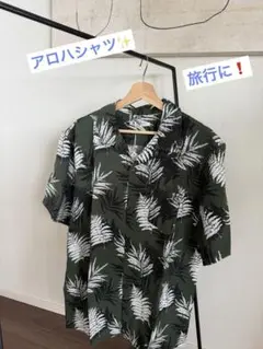 Item thumbnail for item e9947c8a-748a-4497-927a-e02201f78af2