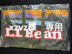 新品未使用L.L.Bean EVERYDAY KATAHDIN ToteＬ