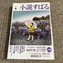 小説すばる 2025年6月号