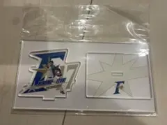 北海道日本ハムファイターズ　伊藤大海　アクリルスタンド　ルーキー　新品未使用