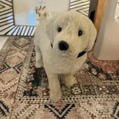 【B級】ラブラドールレトリバー ベージュ 犬 フィギュア 置物 インテリア 雑貨