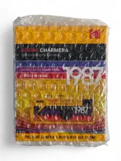 Item thumbnail for item c642ee19-5932-4e02-9752-6d726c52745e