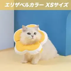 エリザベスカラー XSサイズ イエロー お花 黄色 手術後 傷舐め防止 小型犬