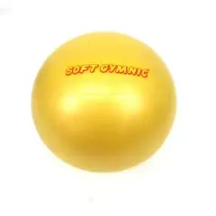 NewSoftGymnic ニューソフトギムニク つるつるタイプ 23cm