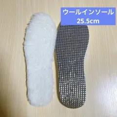 Item thumbnail for item bde5c810-c05b-452b-8d57-b06db8d490b4
