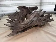 流木