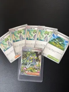 ポケモンカード メガシンフォニア ミツル 活力の森