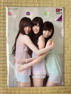 A4クリアファイル 乃木坂46