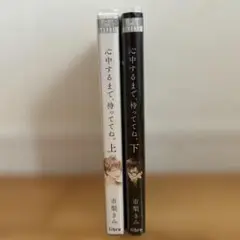 心中するまで待っててね。上下巻セット