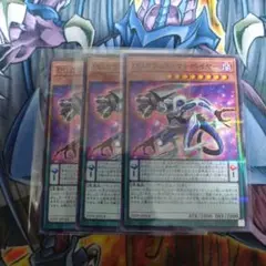 DDカウントサーベイヤー　ノーパラ　3枚