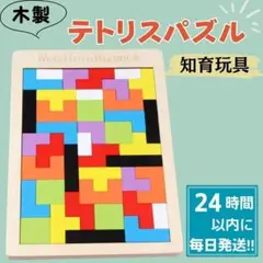 知育玩具　モンテッソーリ　木製　テトリスパズル　型はめ　パズル　　子供　おもちゃ