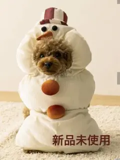 Item thumbnail for item 2156800e-1969-4d76-986e-08d75bcdcaa7