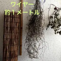 山葡萄＆ ワイヤープランツ