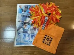 読売ジャイアンツ ミニポンポン タブロイド紙とタオル付