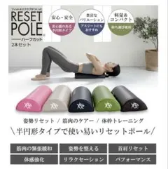 【美品】Reset Pole 2本セット ハーフカット　ネイビー