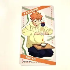 日向翔陽　アニメイト特典　ポストカード　ハイキュー