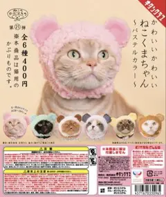 Item thumbnail for item c4b8e0fe-20f4-4d3e-ae49-85f59555a87a