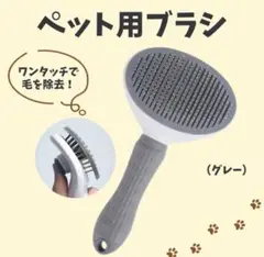 Item thumbnail for item bedfdaac-bad5-40da-b21d-efa1e54a4a1e