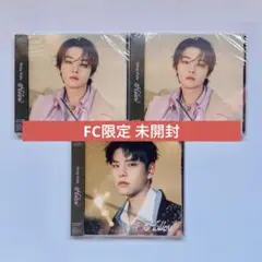 StrayKids Hollow ファンクラブ限定 リノ スンミン