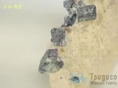 Item thumbnail for item 8aecb4e0-b1fe-487c-988c-2faf99c05b17