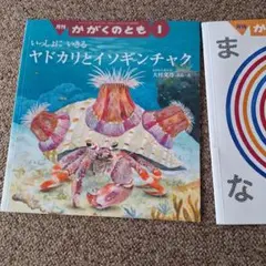 かがくのとも 絵本シリーズ 全3冊