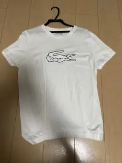 LACOSTE スリムフィット ホワイト Tシャツ US M