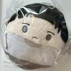 ウィンドブレイカー ウィンブレ 硯秀平 ふわコロりん3