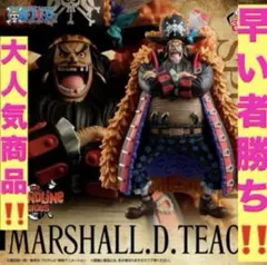 ワンピース DXF SPECIAL MARSHALL.D.TEACH