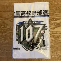 第107回　全国高校野球選手権大会記念全出場校名入タオル