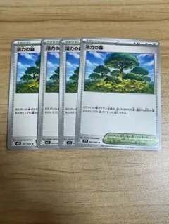 ポケモンカード　活力の森　4枚セット