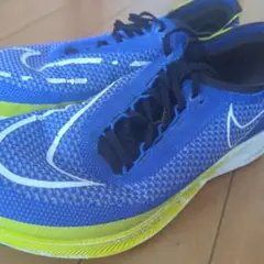 ストリークフライ 26cm