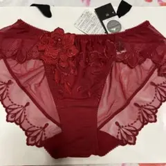 サルート◆34G◆プレステージ ノーマルショーツ